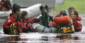 horse-water-rescue-1