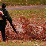 Leaf blowers and the Peter Principle