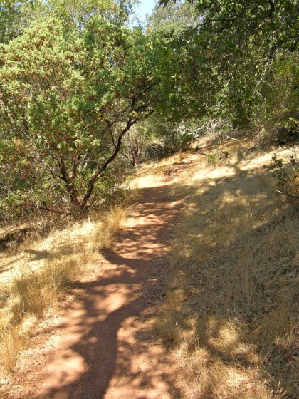 sonoma overlook trail