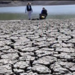 California's Drought: Any Solutions?
