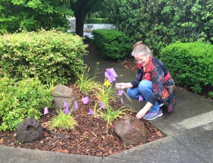 Cynthia Scarborough, executive director of Vintage House, plants purple flags to raise awareness of elder abuse in the community. (Rachel Hundley)