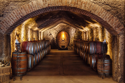 The historic, and recently renovated, Champagne Cellars at Buena Vista (Image: Scott Chebegia)