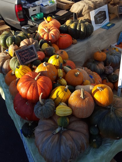 Awesome winter squash for sale at the Quarter Acre Farm stand at the Friday a farmers' market (Photo: Quarter Acre Farms)