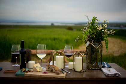 A picnic by San Pablo Bay is one of the many offerings at the new Liana Estates in Carneros (Photo: Michelle Walker)