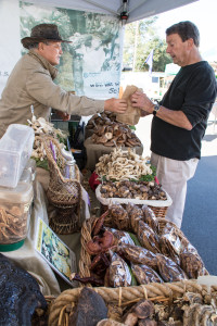 11:00am Buying mushrooms at the Farmer's Market.