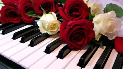 Piano Rose Roses White Stems Keyboard Romantic Petals Thorns Buds Red Pictures For Desktop