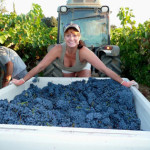 ‘Red handed’ winemaker eyes professional career