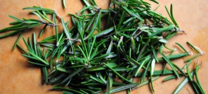 Rosemary-Sauce-575x262