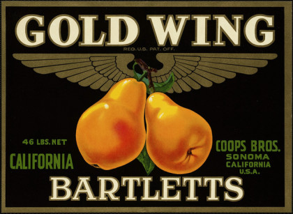 An old Gold Wing Bartletts pear label from Sonoma