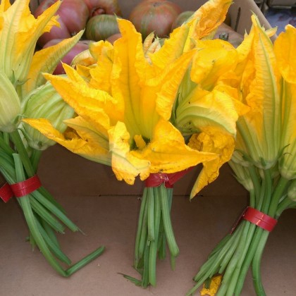 Squash blossoms for sale at the Sonoma Valley Certified Farmers' Market 
