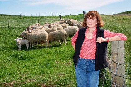 Jeannie McCormack raises lambs for Niman Ranch (American Lamb Board)