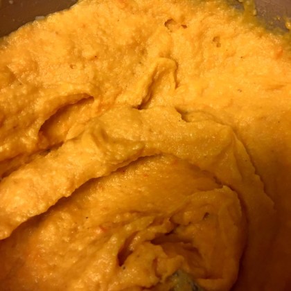 Mmmm! Parsnip and carrot puree! 