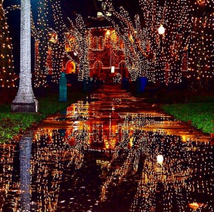 The Sonoma Plaza's holiday lights will be lit on around 5 PM (Photo: Sonoma Valley Visitor's Bureau)