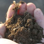 The Soil Pioneers: Local farmers dig for climate change solutions