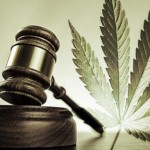 Legalized Pot Primer