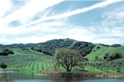 McEvoy Ranch is just as pretty in the photos as it is in person (Photo: McEvoy Ranch)