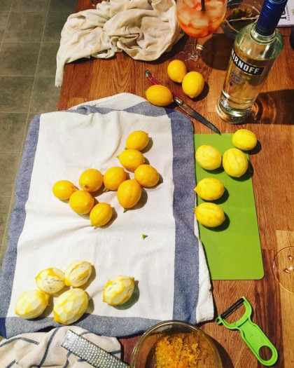 Making limoncello