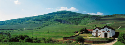 Not too shabby - Tokay Hétszölö is seeking a harvest intern (Photo: Sonoma-Tokaj Sister City Committee) 