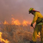 How the October wildfires are impacting our nonprofits