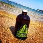 Sonoma Springs Brewing Co.'s newest beer, Subtropical Gold, is available by the pint or to go via growler to your favorite beach (Submitted photo)
