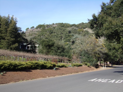 Developer Bill Jasper wants to build three homes on the Sonoma hillside to the west of Fourth Street East at Brazil Street.