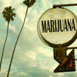 Cannabis Capitalism takes California