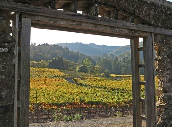 Walking Into 2024 Sonoma Sun Sonoma CA   Jack London State Historic 