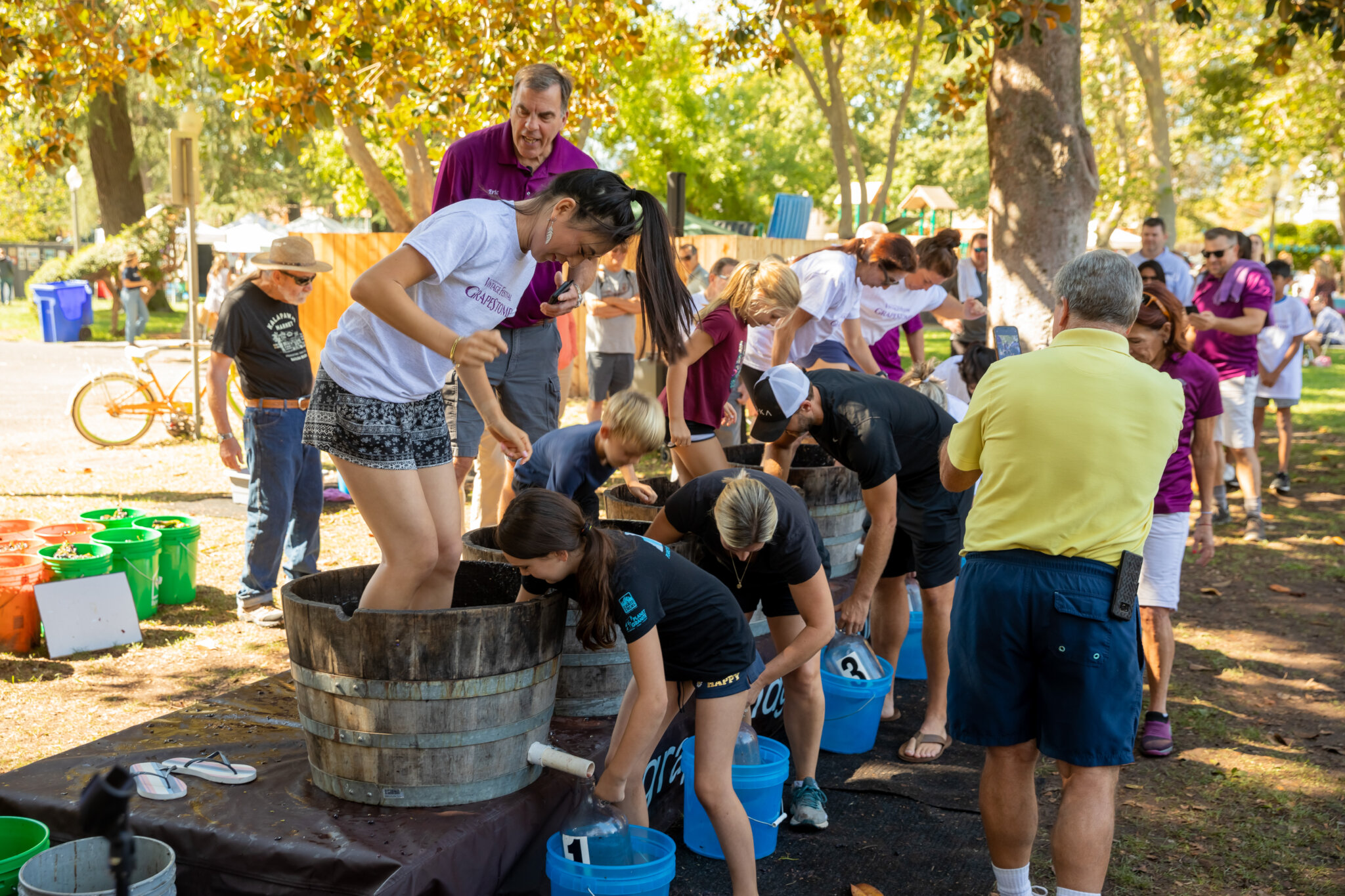 Stomp and sip Vintage Festival returns to Sonoma Sonoma Sun Sonoma, CA