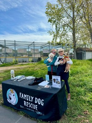 Friday Farmer's Market Adoption Event