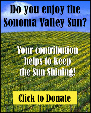 Sonoma Sun donation ad