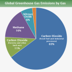 Taking Steps Toward Carbon Zero