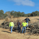 Sonoma Ecology Center Launches Tending the Land for Fire Resilience