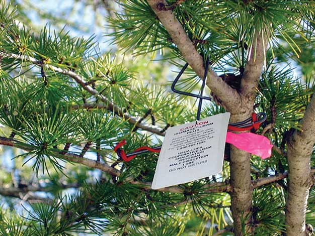 An information tag is attached to some twist ties explaining precautions to be used in handling. Submitted photo.