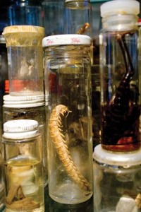 Rob Keller’s installation