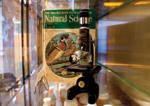 A close-up of one of the shadow boxes.